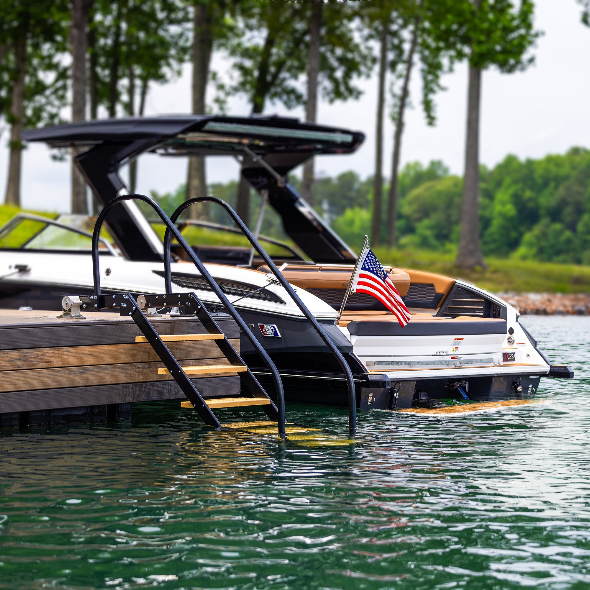 NautiSteps Spring-Assisted Dock Ladder (1 Handrail)